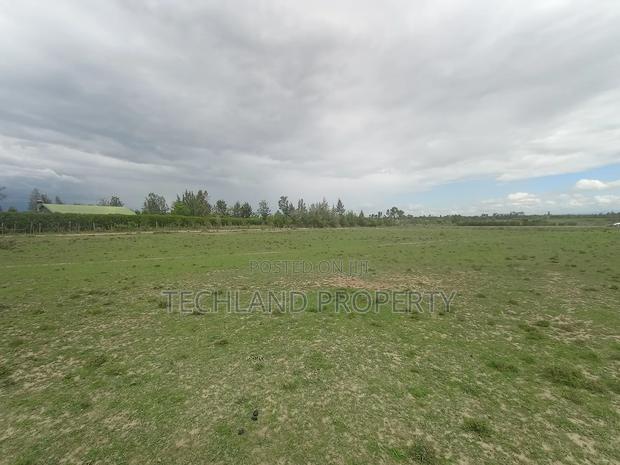 4acres Wamura Laikipia. - thumbnail 2