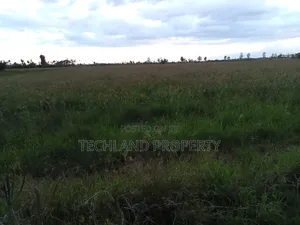 3acres Walazo Jet Kieni Nyeri