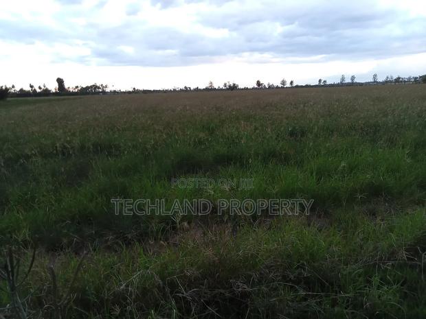 3acres Walazo Jet Kieni Nyeri