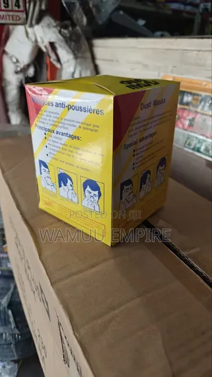 Disposable Dust Masks
