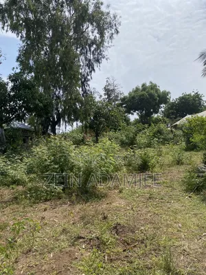 Half Acre for Sale Kibokoni Malindi