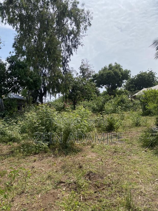 Half Acre for Sale Kibokoni Malindi - thumbnail 3