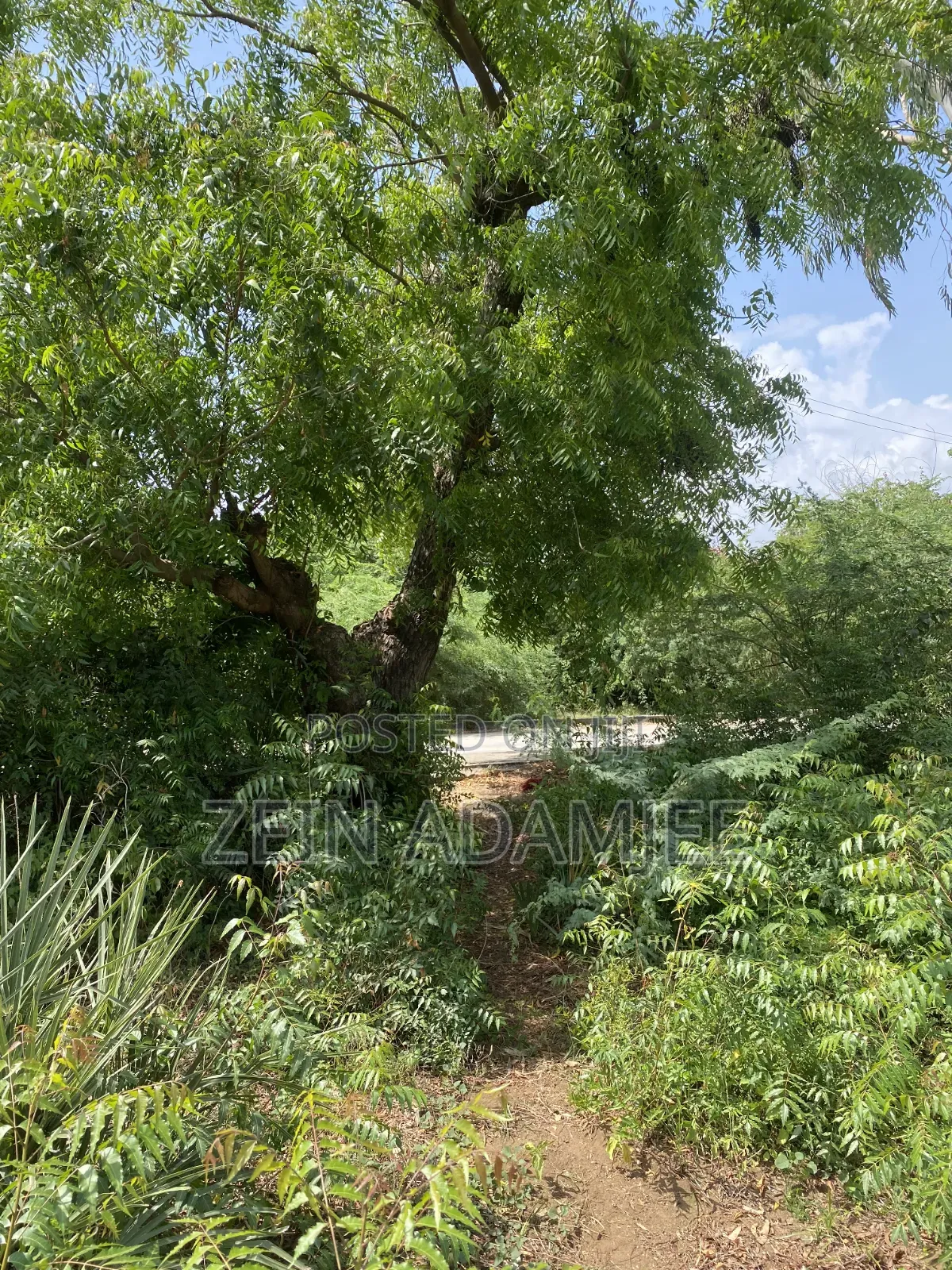 Half Acre for Sale Kibokoni Malindi