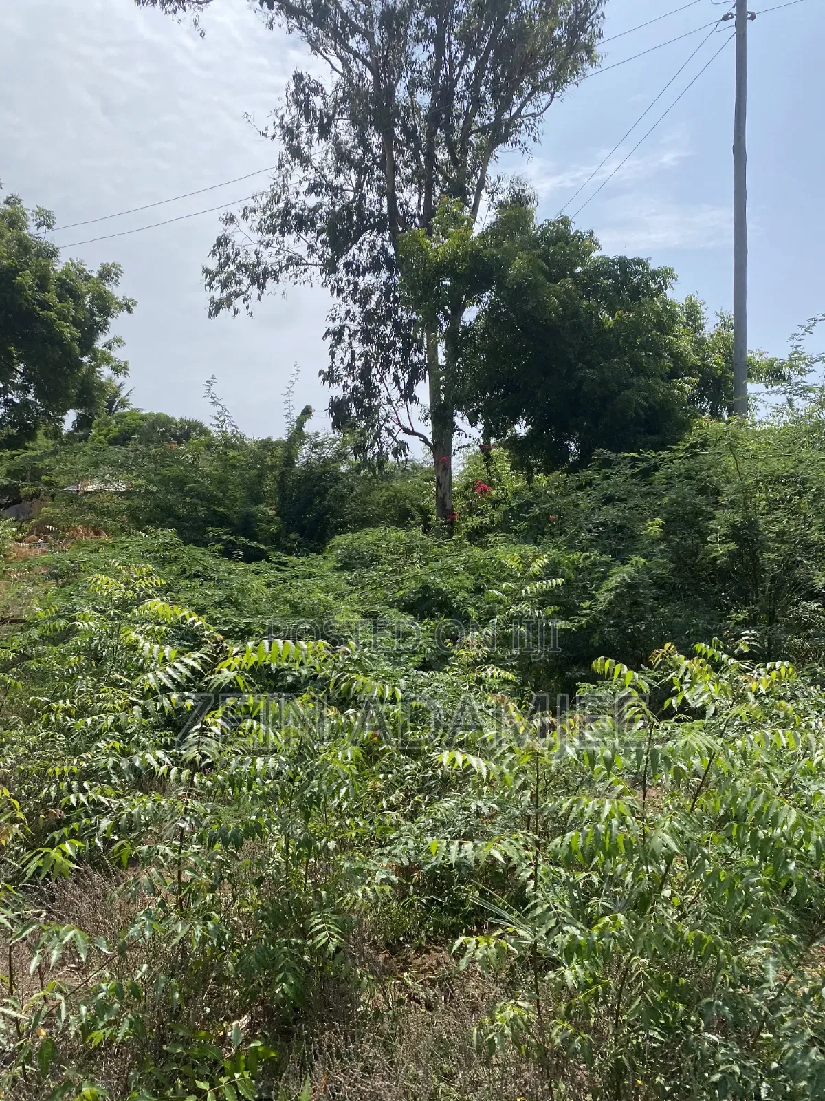 Half Acre for Sale Kibokoni Malindi