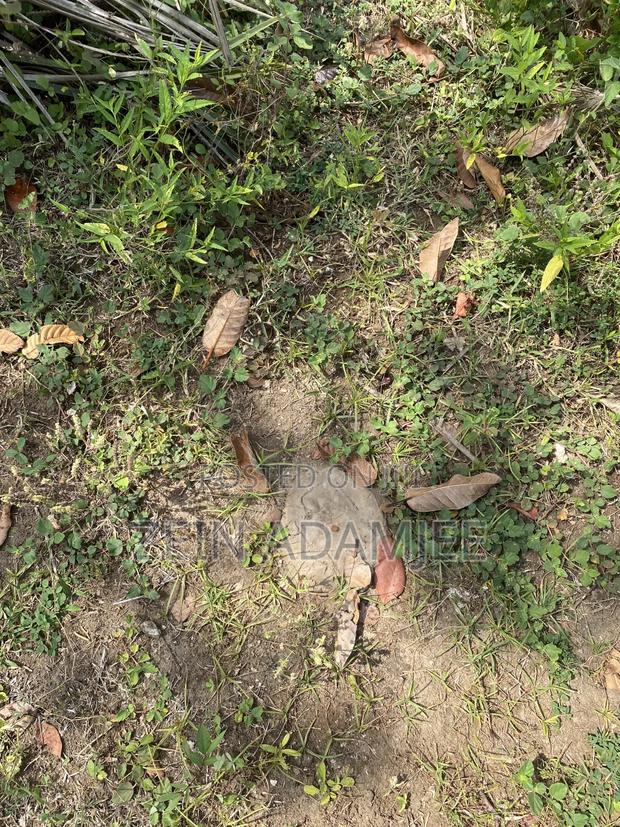 50 by 100 Plots for Sale Malindi - thumbnail 3