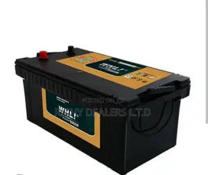 Whli N200mf 12v/200ah Car Track Battery
