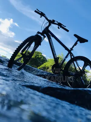 Premier Enduro Mountain Bike