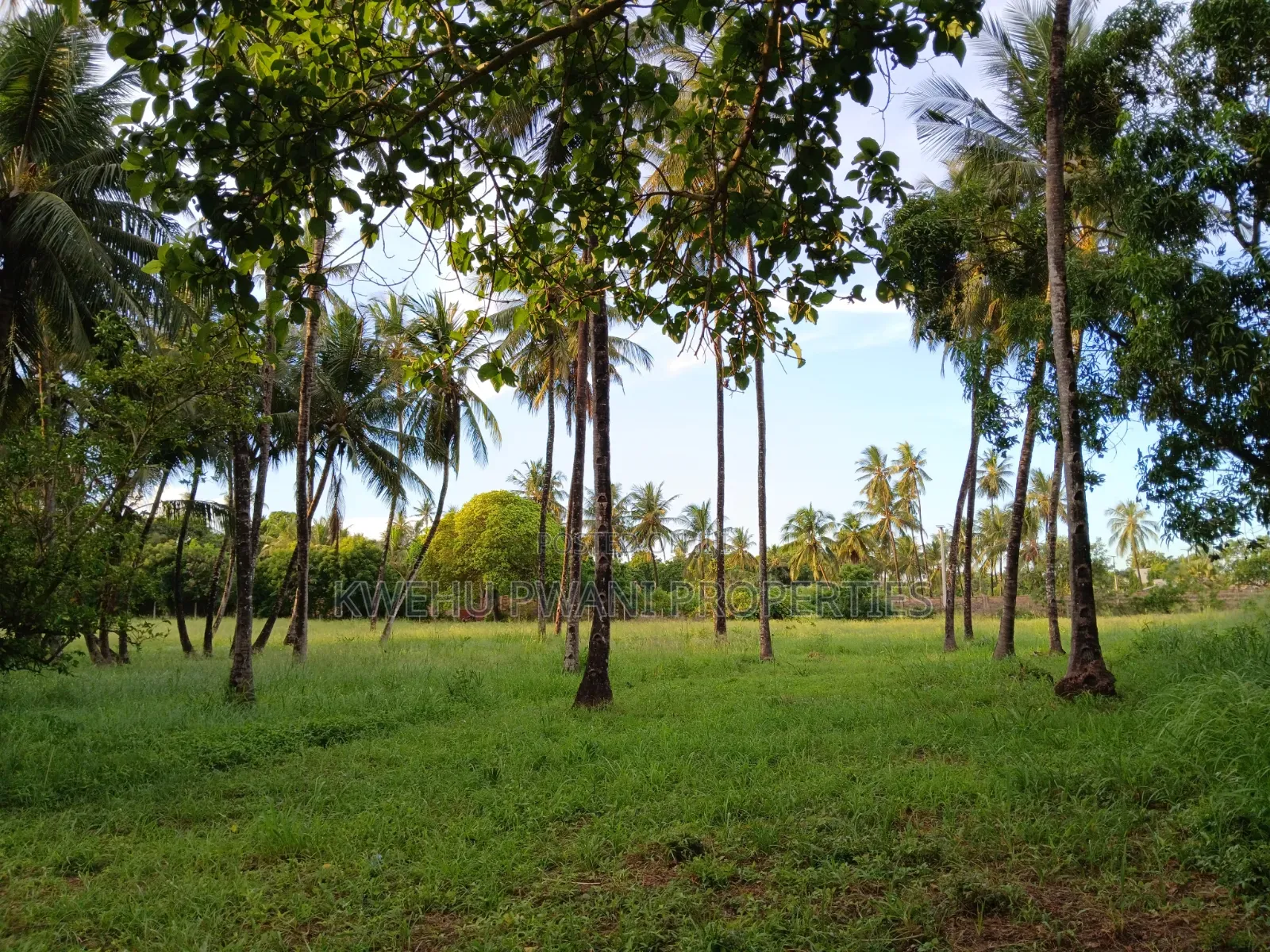 Serene Living at Hamdan Gardens Mtwapa -Serviced 50*100 Plots