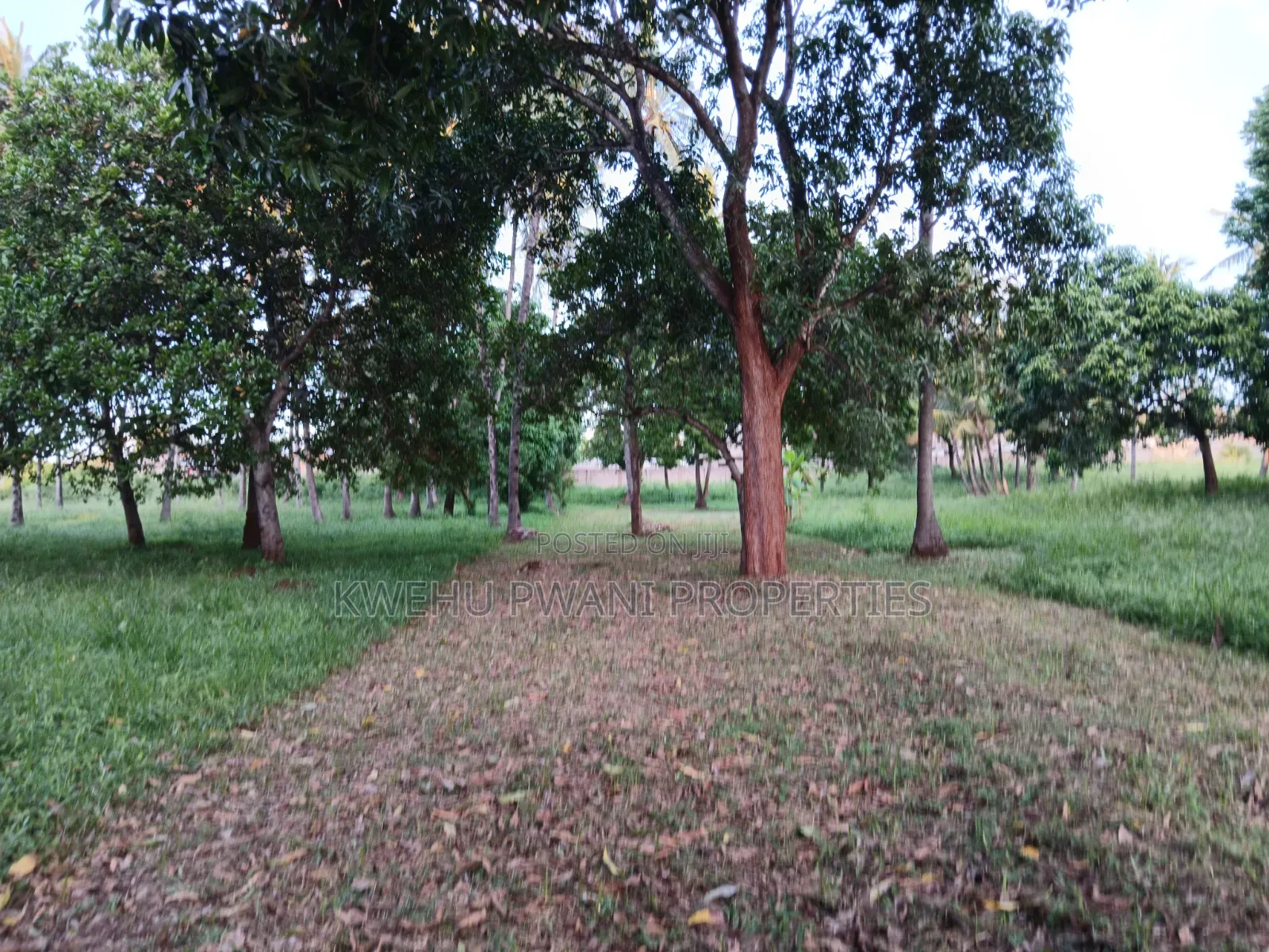 Serene Living at Hamdan Gardens Mtwapa -Serviced 50*100 Plots