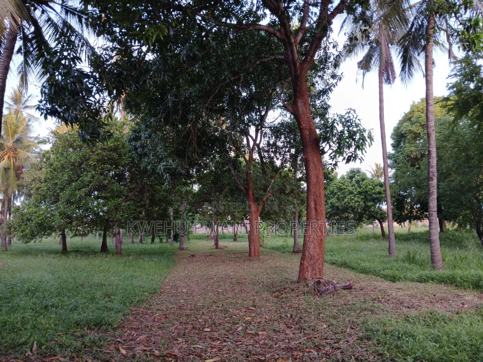 Serene Living at Hamdan Gardens Mtwapa -Serviced 50*100 Plots