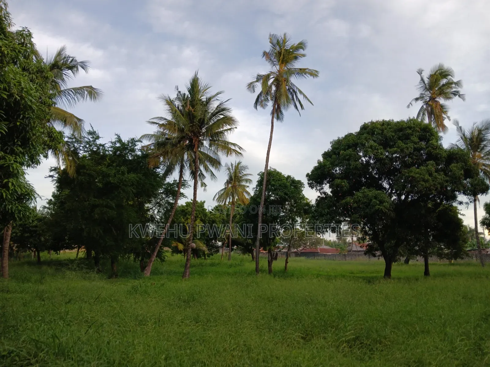 Serene Living at Hamdan Gardens Mtwapa -Serviced 50*100 Plots