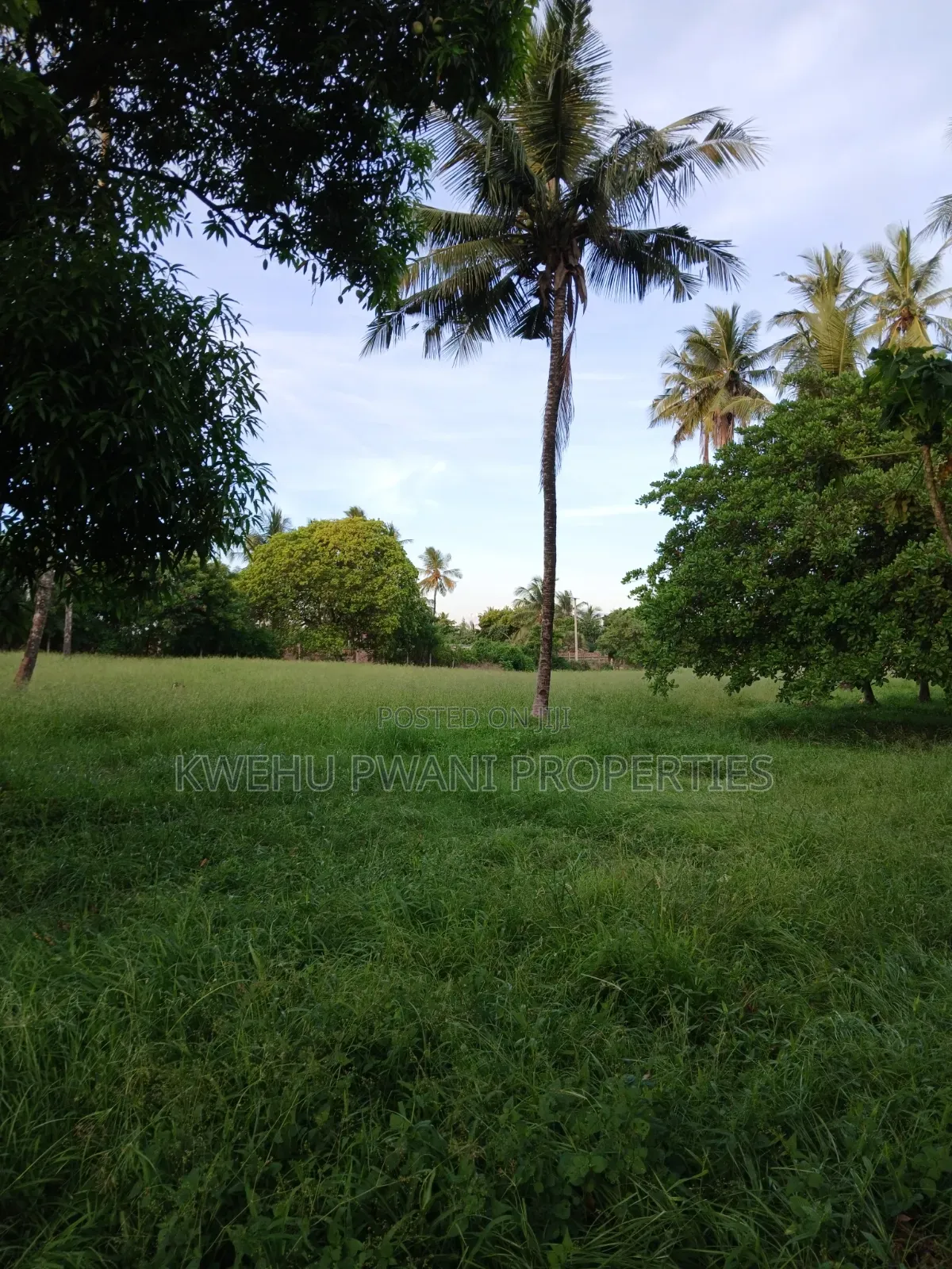 Serene Living at Hamdan Gardens Mtwapa -Serviced 50*100 Plots