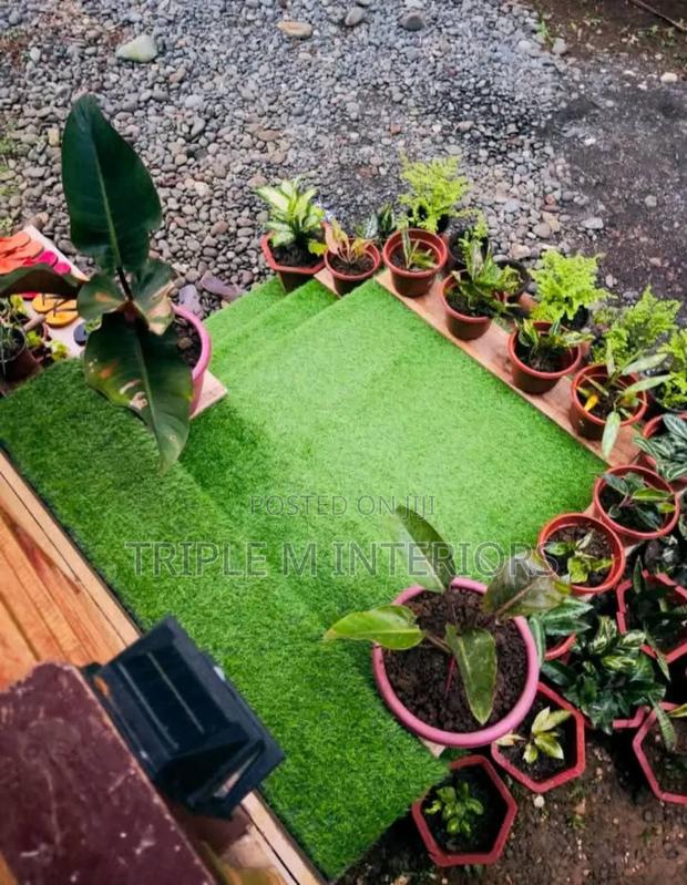 Backdoor Staircase ,Radiant Green Artificial Grass Carpet - main view