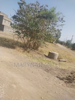 Prime Plot for Sell at Kamakis 300m From Main Road. 7.8m
