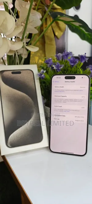 Apple iPhone 15 Pro Max 256 GB