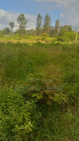Half an Acre for Sale at Mbombo