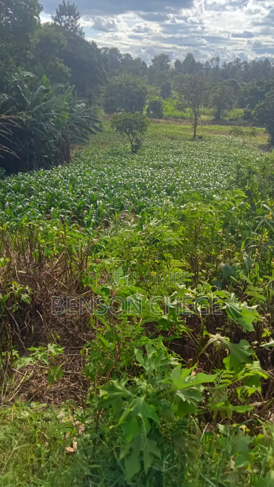 1acre for Sale at Mbombo