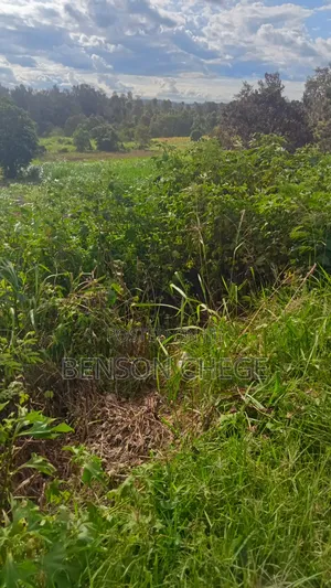 1acre for Sale at Mbombo