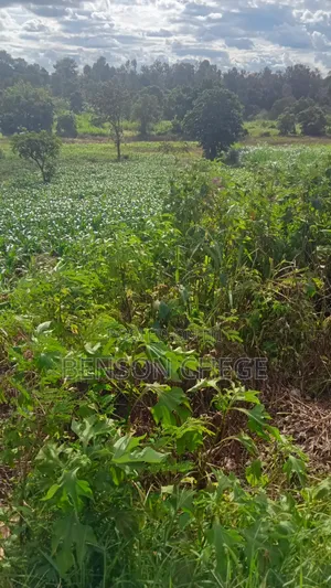 1acre for Sale at Mbombo