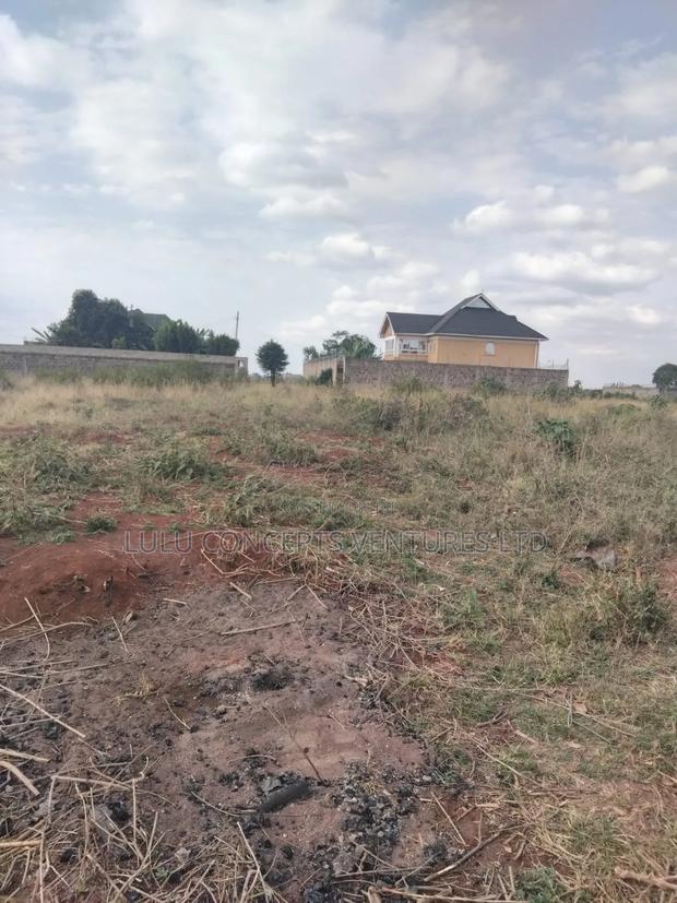 40*80 Plot at Tola Ngoingwa Thika - thumbnail 4