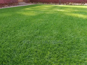 Exterior Decor Carpet | Soft Clean Finish