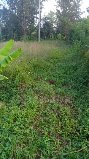 1,Acre for Sale at Ikundu Mbombo Murang'A