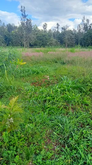 1,Acre for Sale at Ikundu Mbombo Murang'A