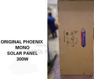 300w Original Solar Panel/Phoenix 300w Solar Panel