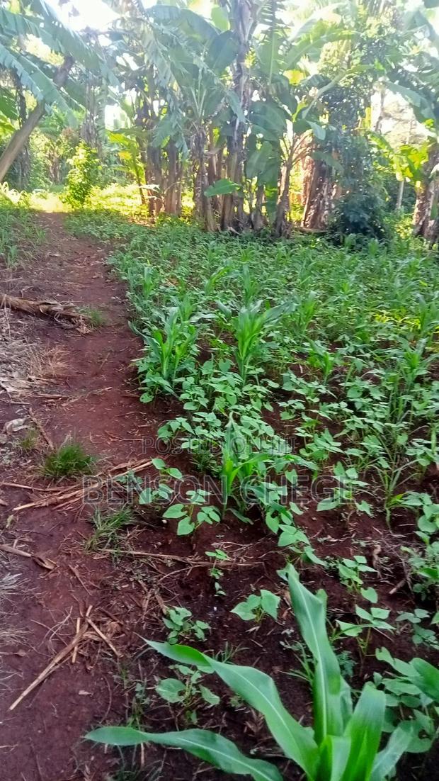1acreland for Sale at Ikundu Maragua