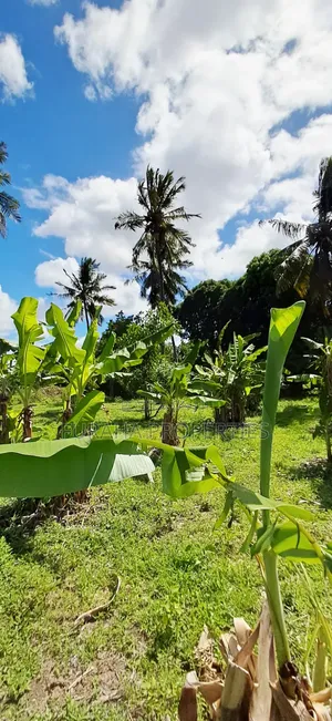 For Sale 14 Acres Land Kikambala
