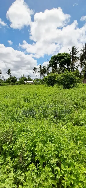 For Sale 14 Acres Land Kikambala