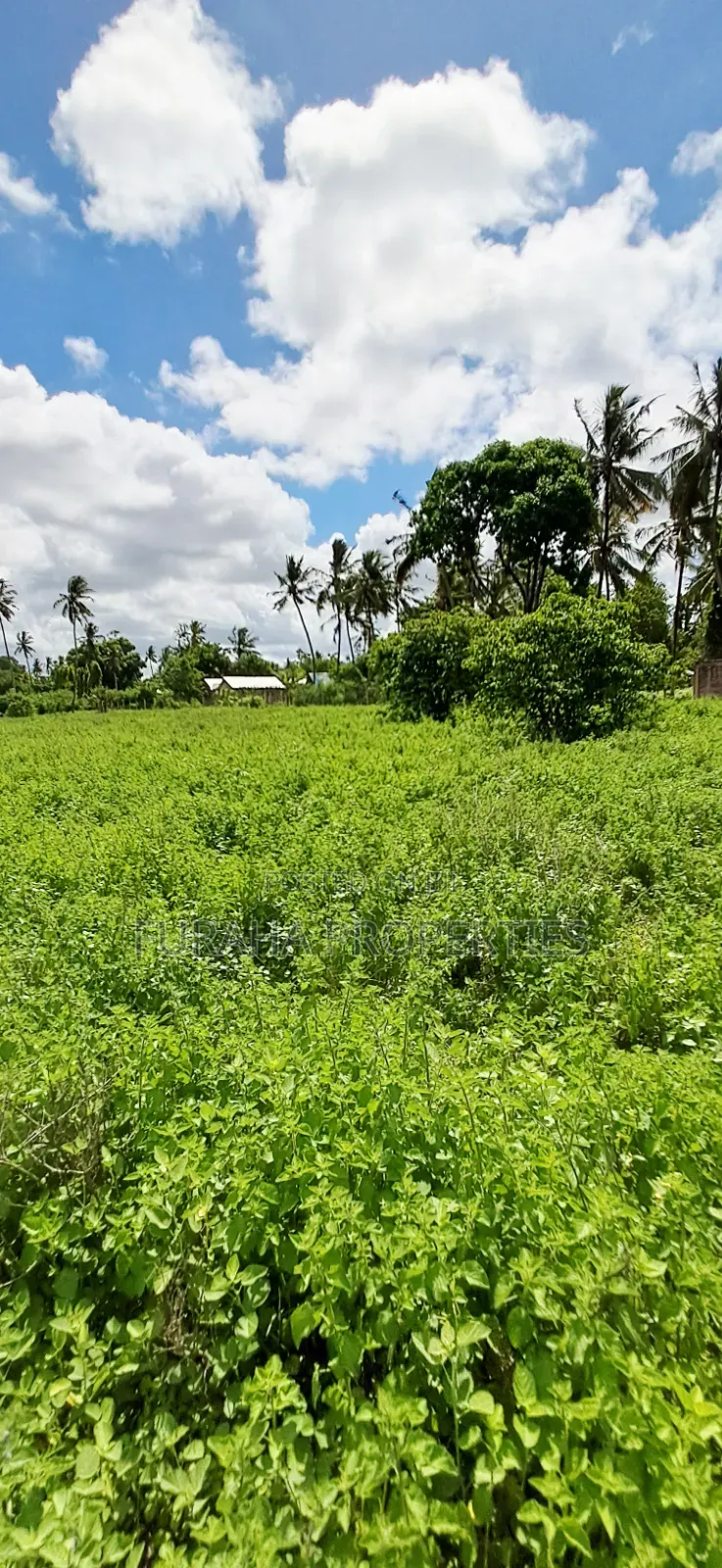 For Sale 14 Acres Land Kikambala