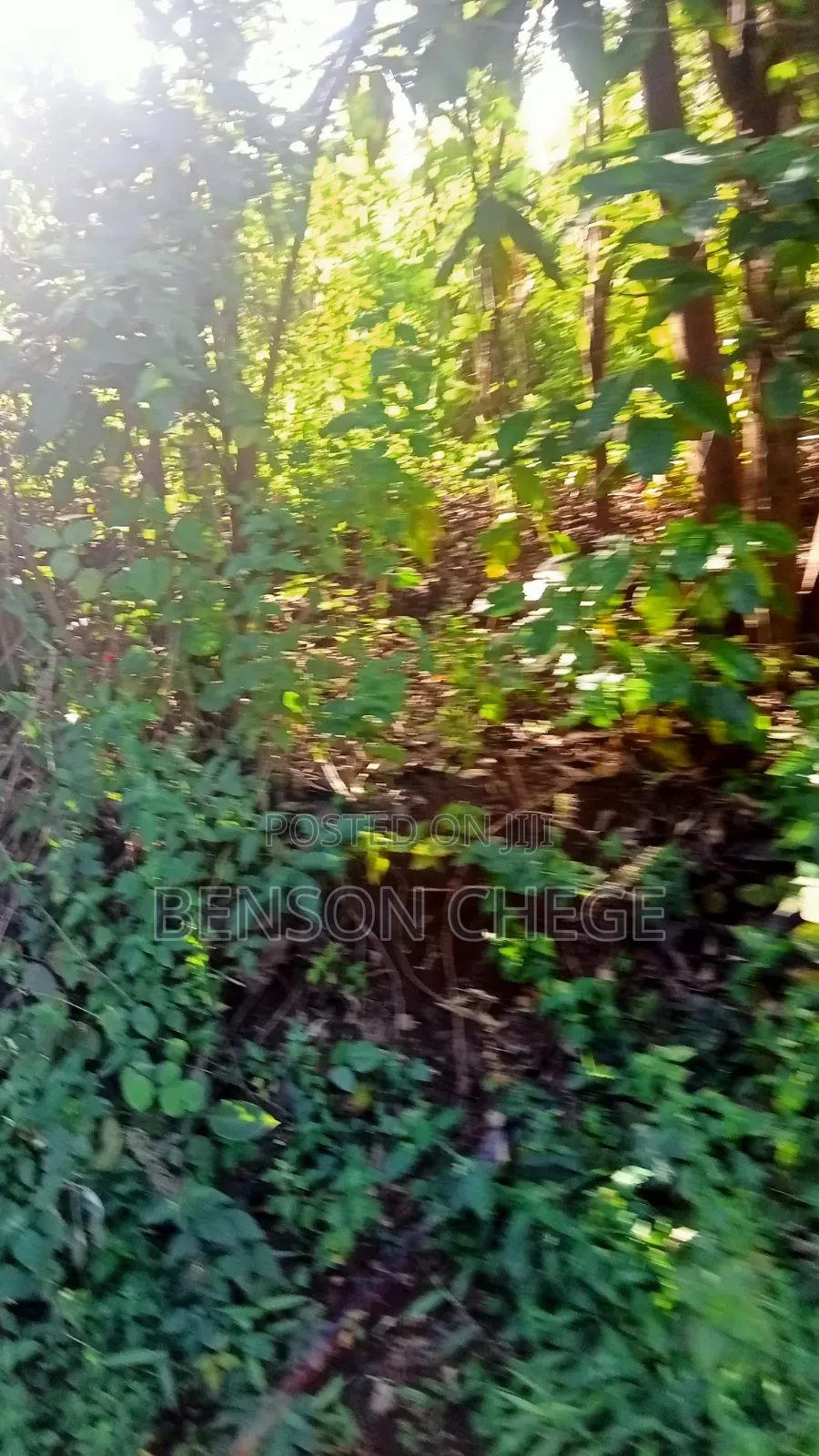 1.5acre for Sale at Maragua Gakoigo
