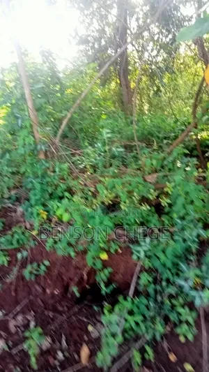 1.5acre for Sale at Maragua Gakoigo