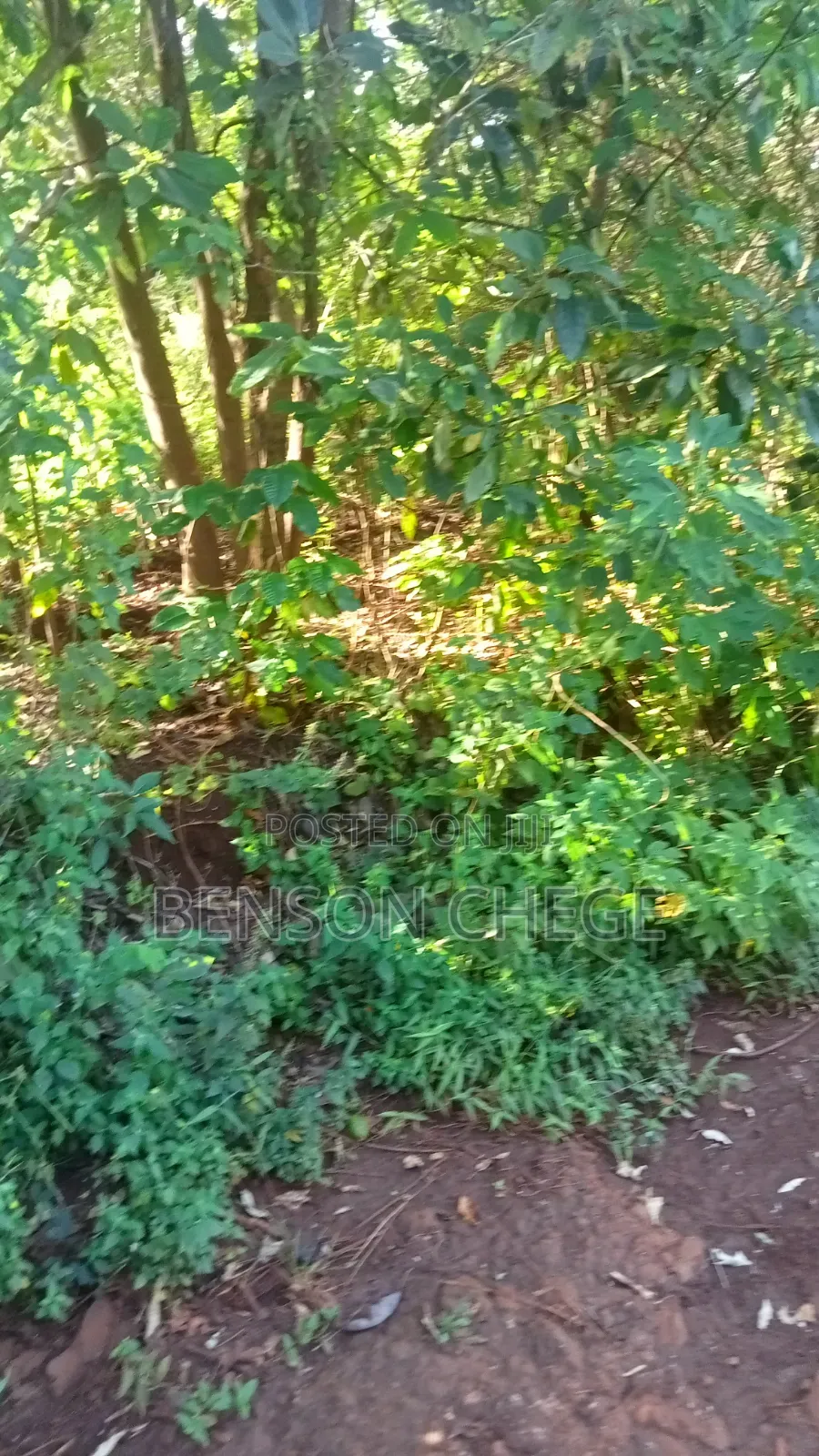 1.5acre for Sale at Maragua Gakoigo