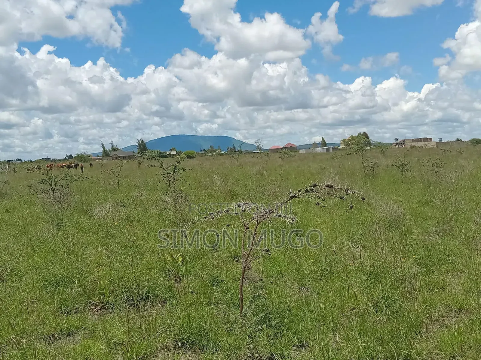Kantafu Kangundo Road Prime 2ac Behind Rubis Petrol Station