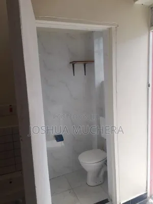 1bdrm Block of Flats in Gesonso, Bogiakumu for rent