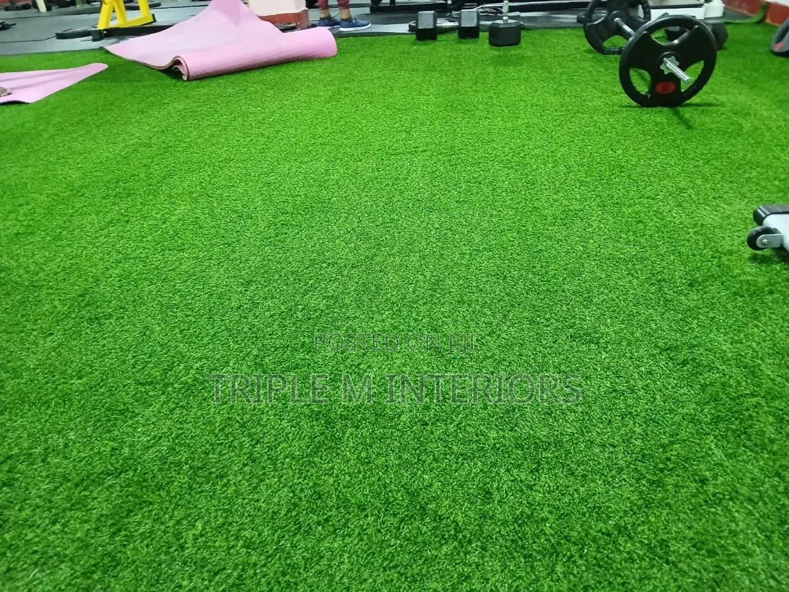 Gym Smoothstep Lawn