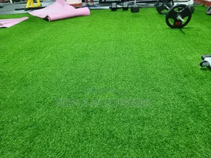 Gym Smoothstep Lawn