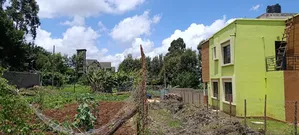 Kikuyu Plots for Sale