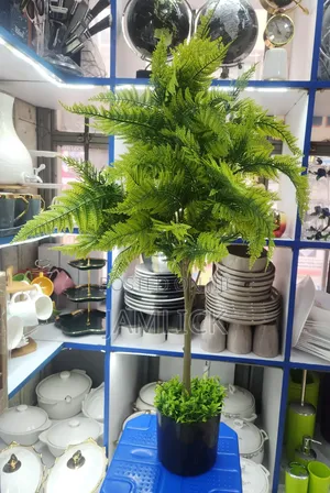 90cm Evergreen Artificial Decorative Plant - Gh