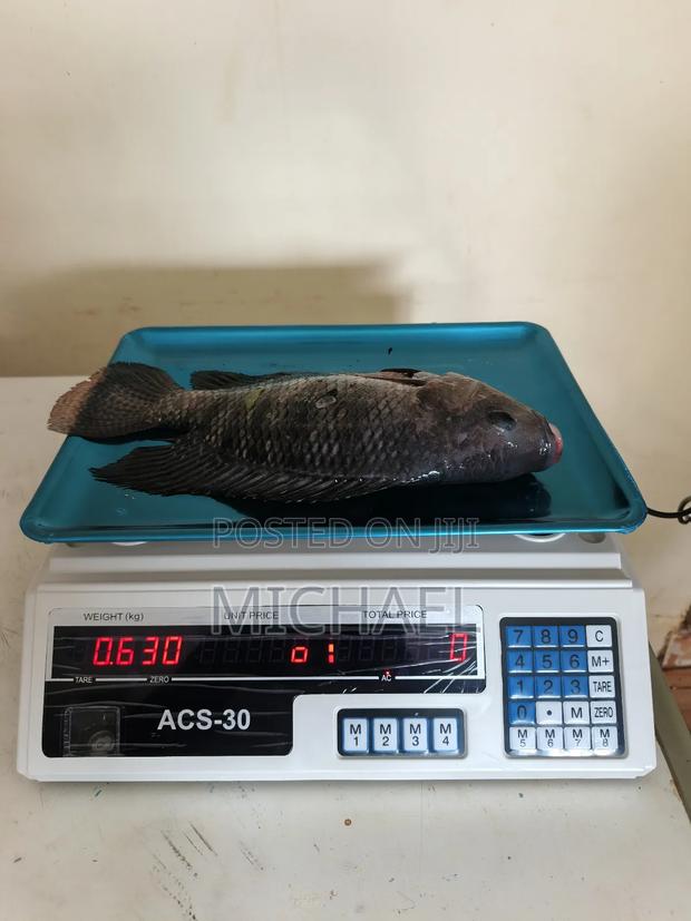 Freshfin Tilapia - main view