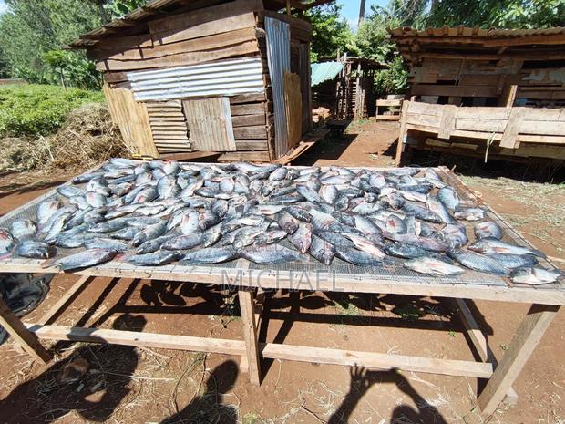 Freshfin Tilapia - thumbnail 6