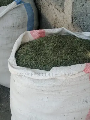 Dry Rosemary Leaves