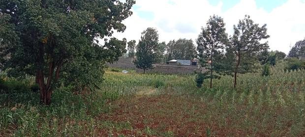 Kenol-Gathanje Estate Plot - thumbnail 2
