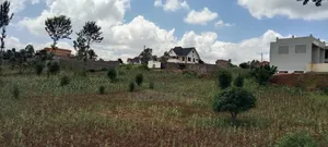 Kenol-Gathanje Estate Plot