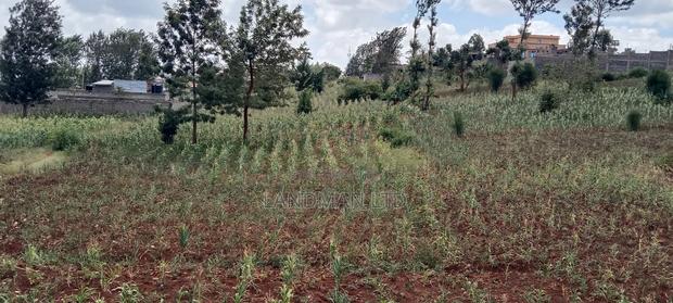 Kenol-Gathanje Estate Plot - thumbnail 5