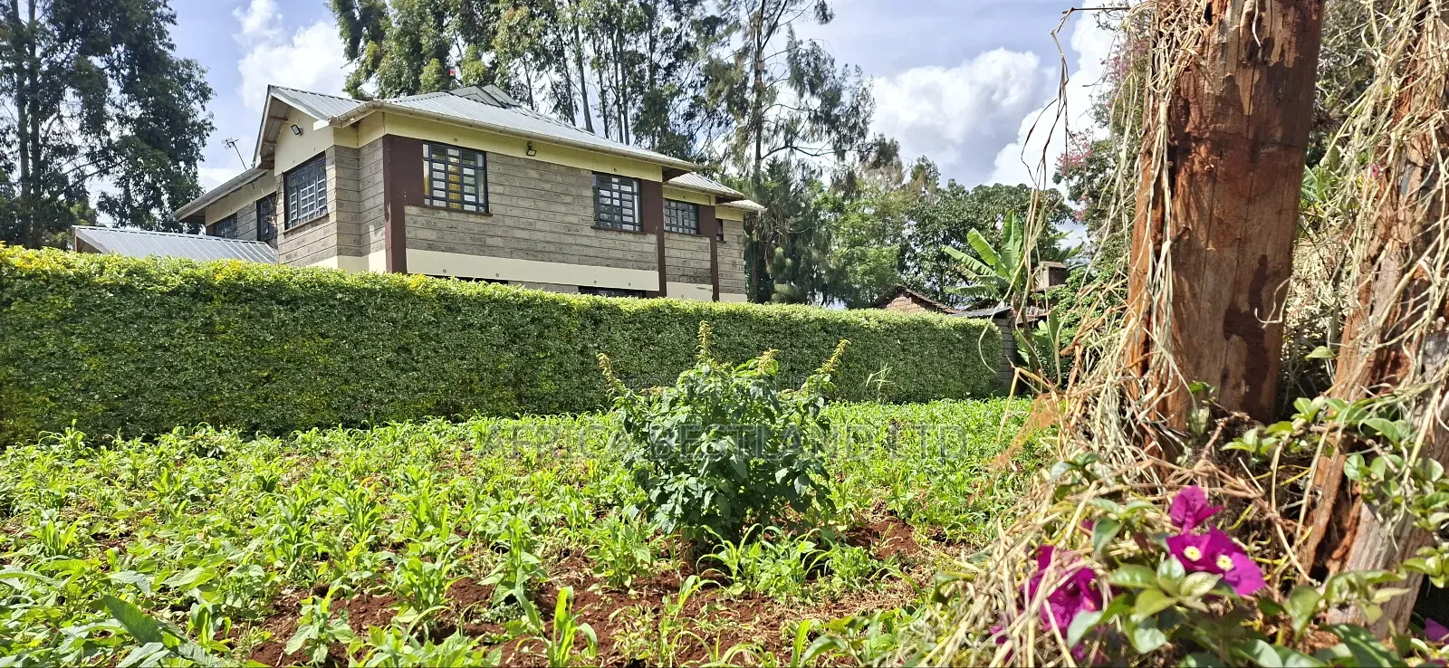 Prime Residential Plot for Sale – Kikuyu (Ondiri)