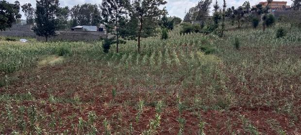 Kenol-Gathanje Estate Plot - thumbnail 6