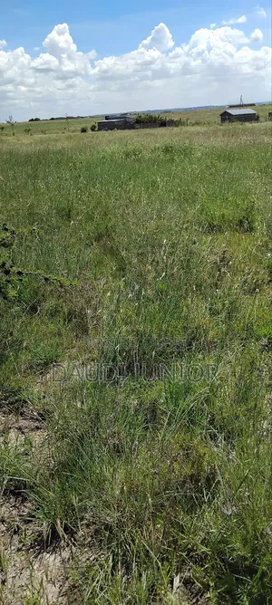 Plot for Sale